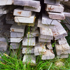 Old Wood Pile